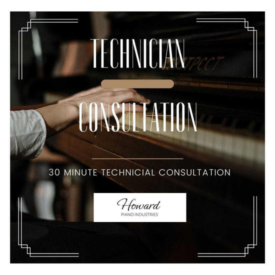Piano Technician Coaching Session